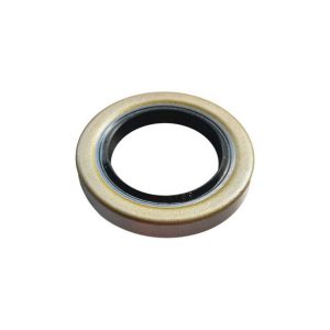 TB tip okostna rotacijska oljna tesnilo